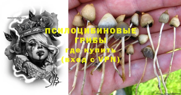 ПСИЛОЦИБИНОВЫЕ ГРИБЫ Армянск